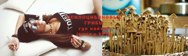 гидропоника Карталы