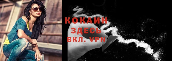 винт Карпинск