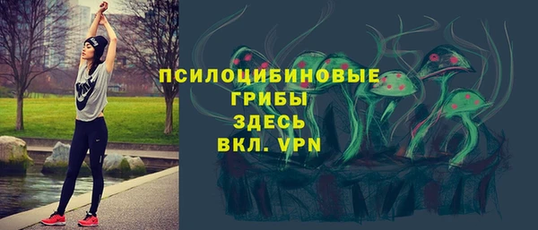винт Карпинск